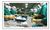 consultoria_iso_22000